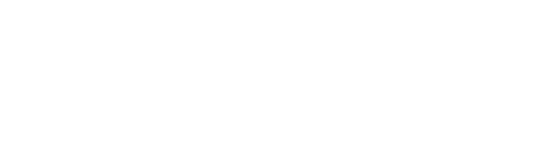 Orvox Digital